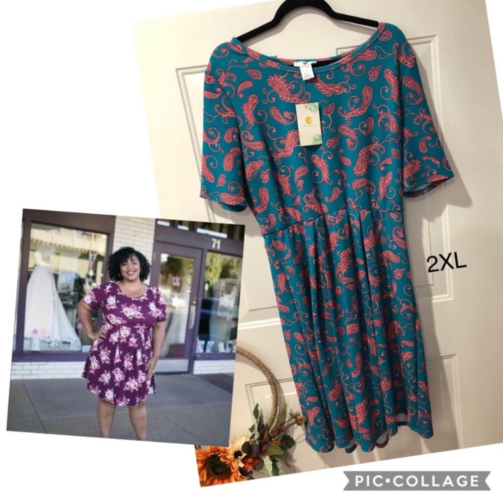 Amelia James dress BNWT just like LLR Nicole